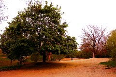 photo 0046